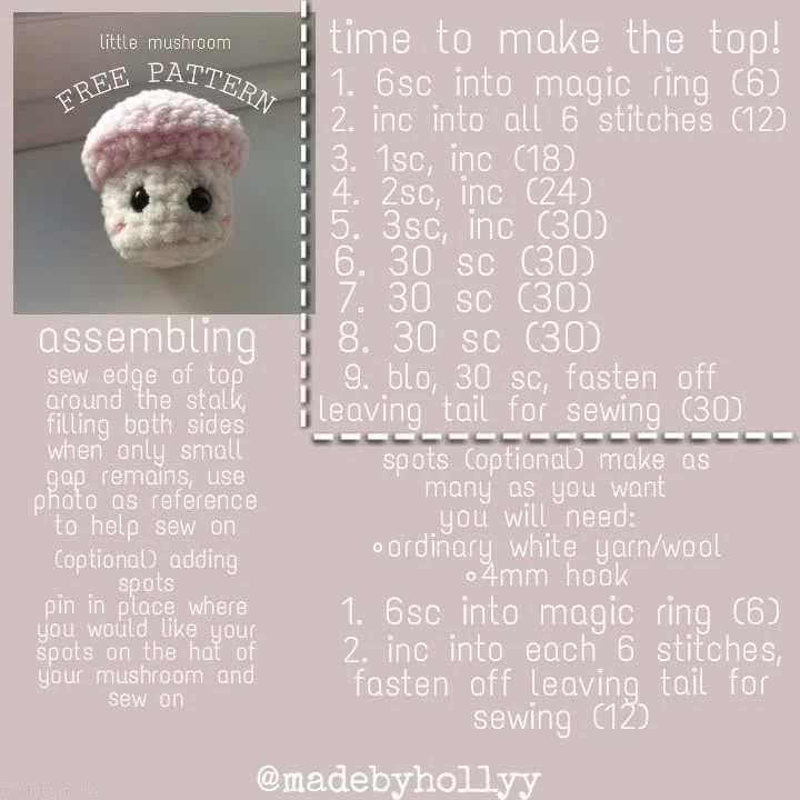 Free Crochet Pattern for Cute Little Mushroom Amigurumi with Pink and White Chunky Wool
