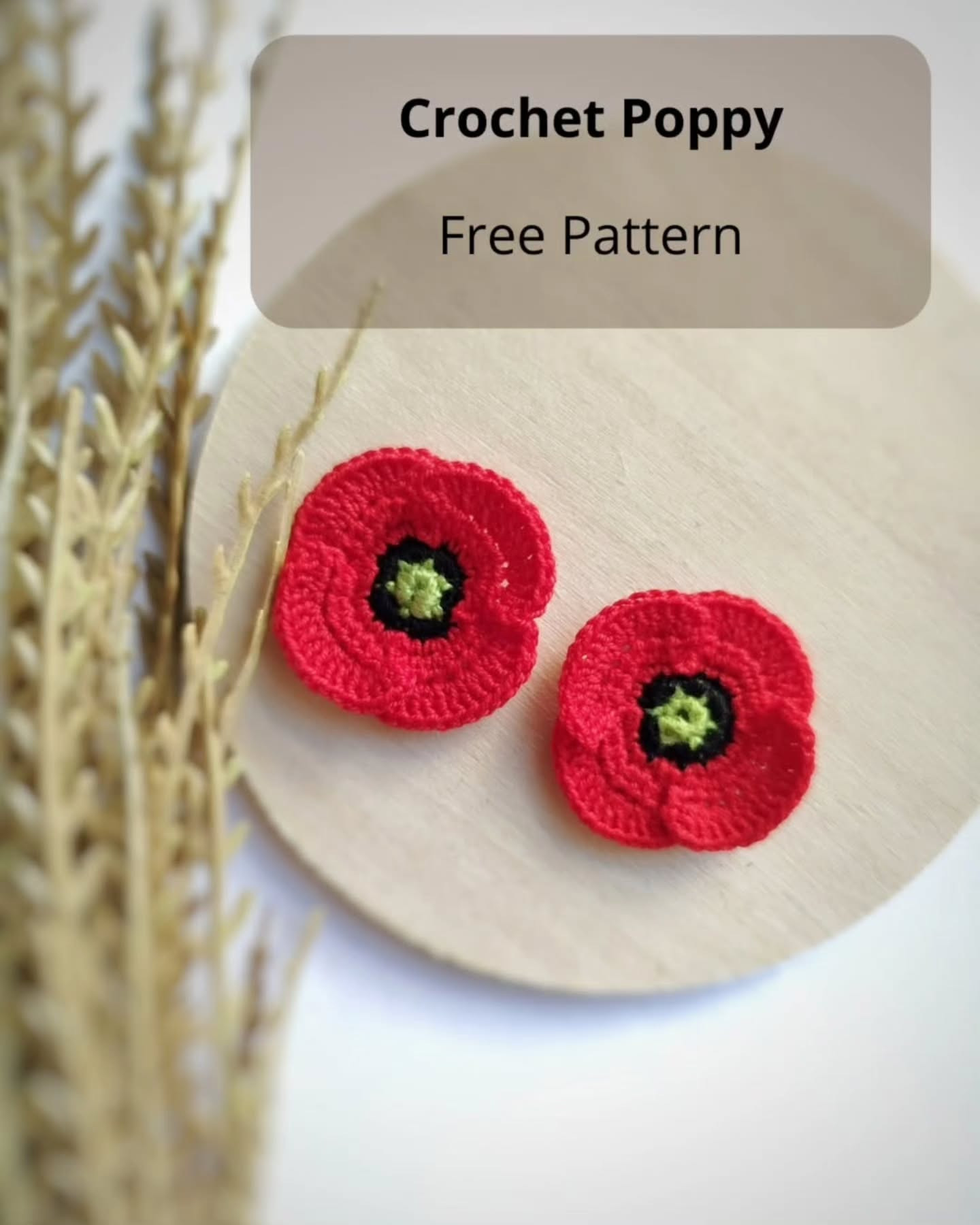 Free Crochet Poppy Flower Pattern: Easy-Intermediate Guide for Red, Black & Green Yarn