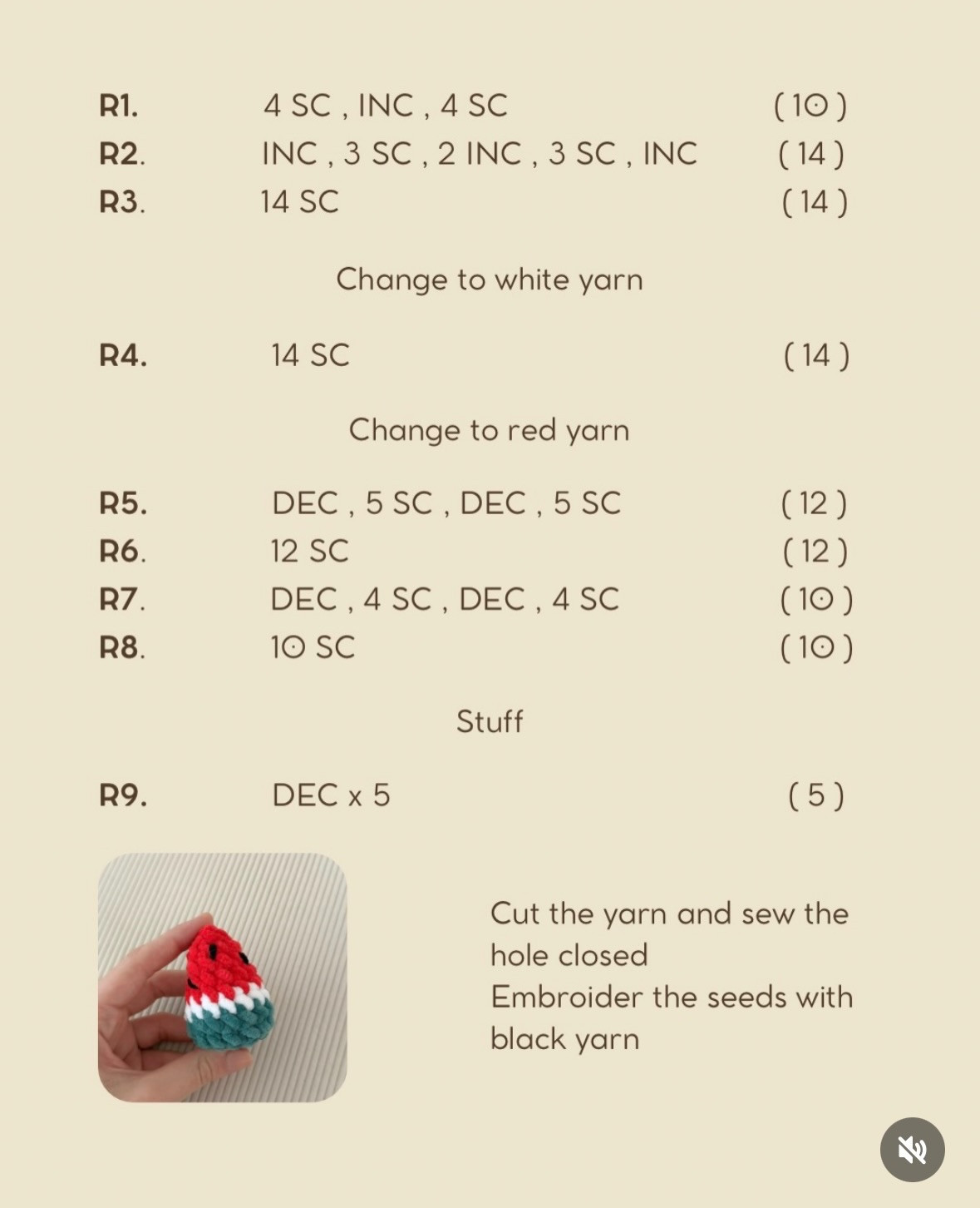 Free Pattern: Chubby Summer Capybara with Watermelon Slice and Swim Ring