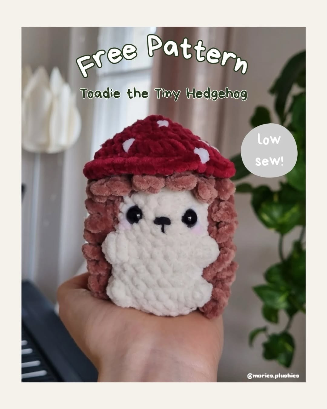 Free Pattern: Toadie the Tiny Hedgehog with Mushroom Hat