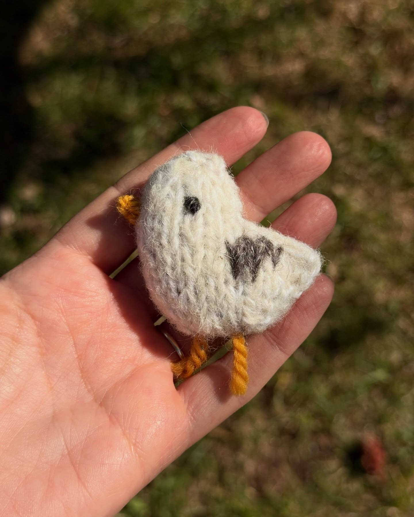 Free Pocket Seagull Knitting Pattern: Beginner Friendly, Quick Stash Buster Project