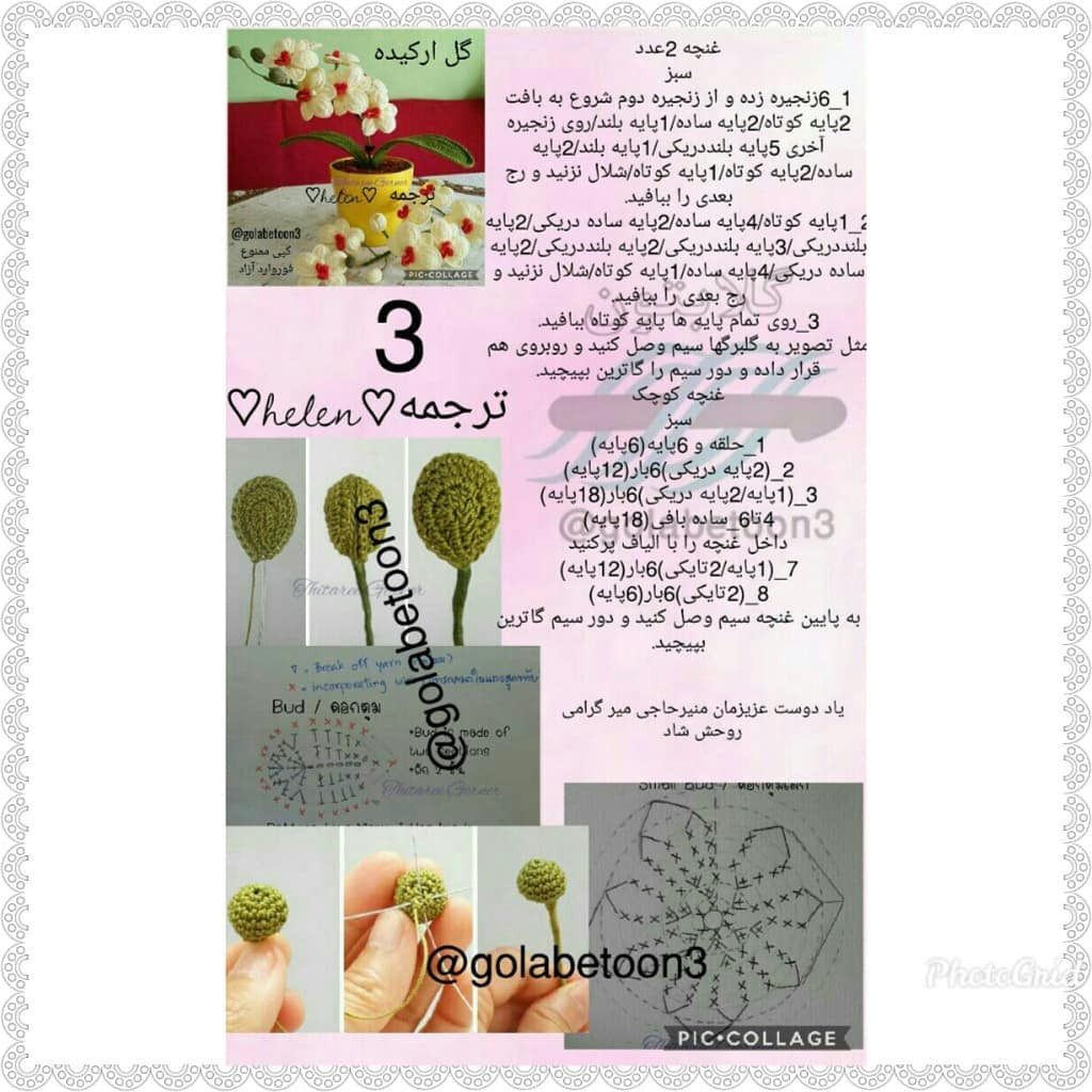 Hướng dẫn móc len hoa lan hồ điệp (Orchid) chi tiết từng phần kèm chart