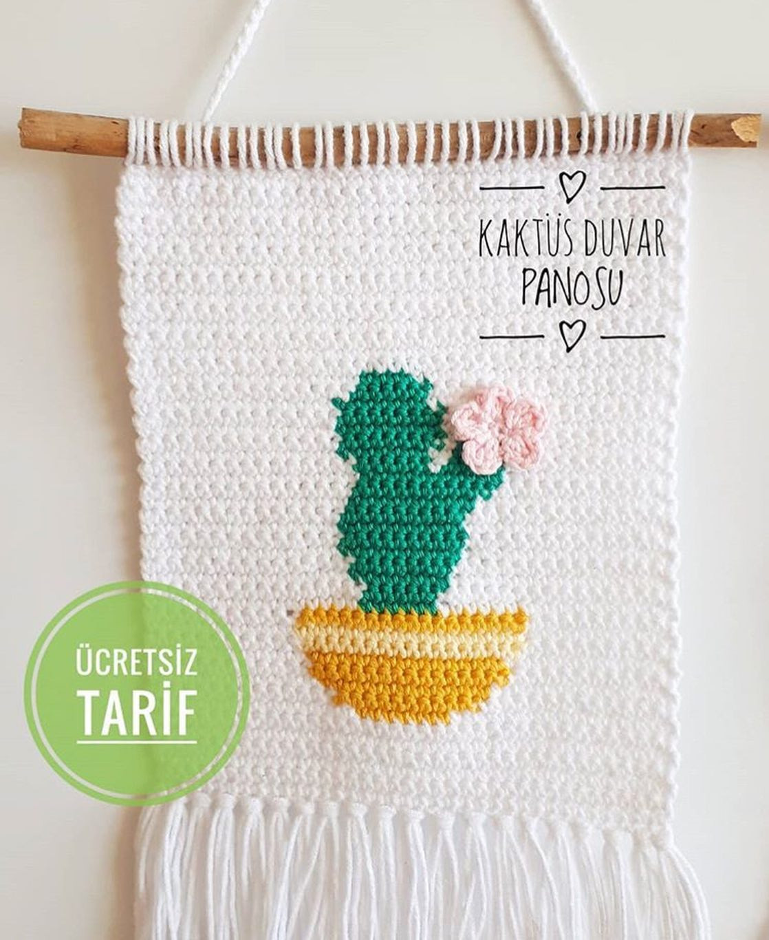 Kaktüs Duvar Panosu - HƯỚNG DẪN MÓC LEN TẠO BỨC TRÒ ĐÈN CÂY XANH VÀ CHẬU HOA
