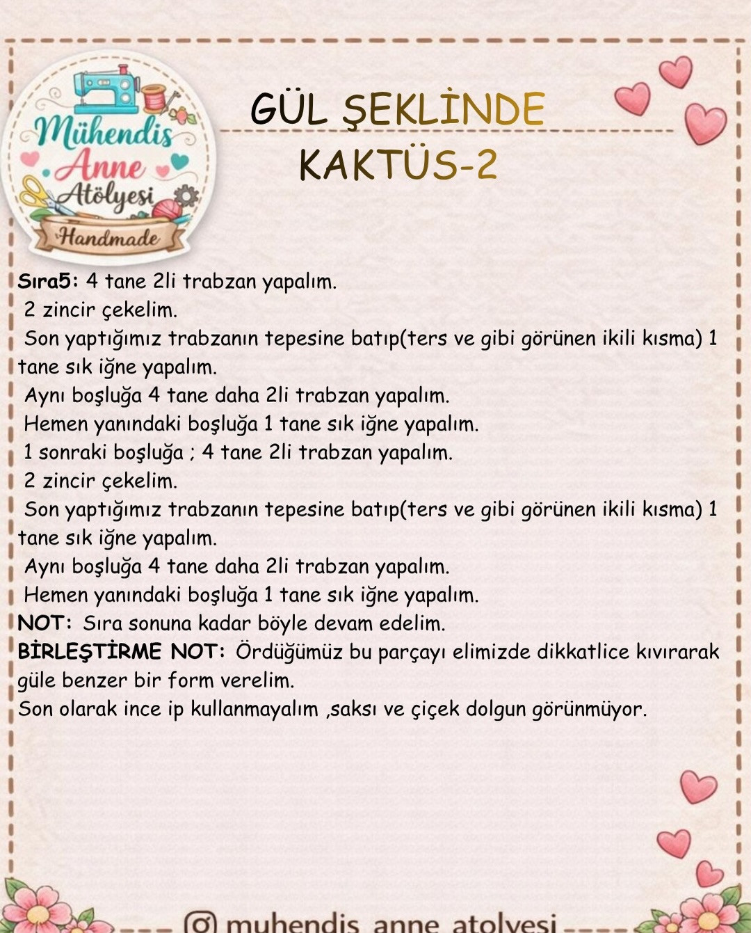Kaktüs Tarifi - Mühendis Anne Atölyesi