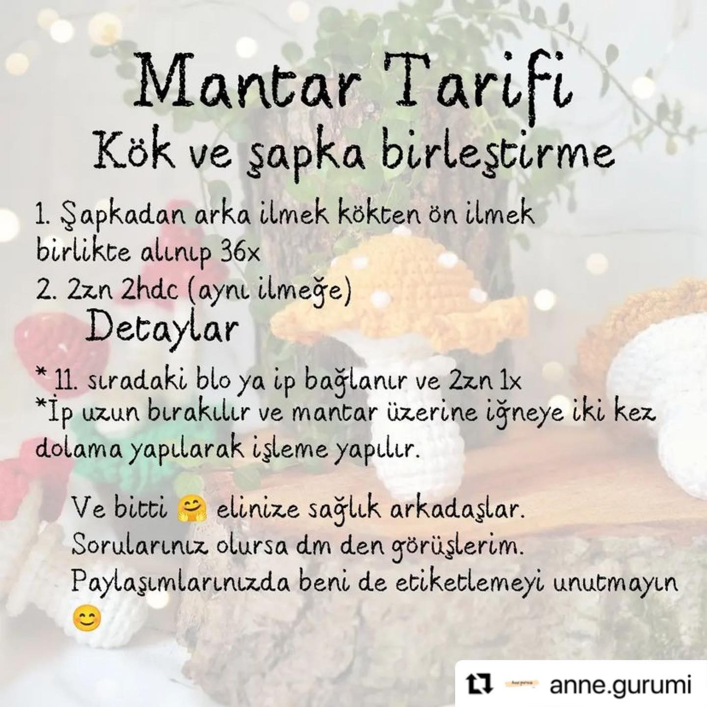 Mantar Tarifi - Móc len nấm amigurumi dễ thương, hướng dẫn chi tiết từng bước