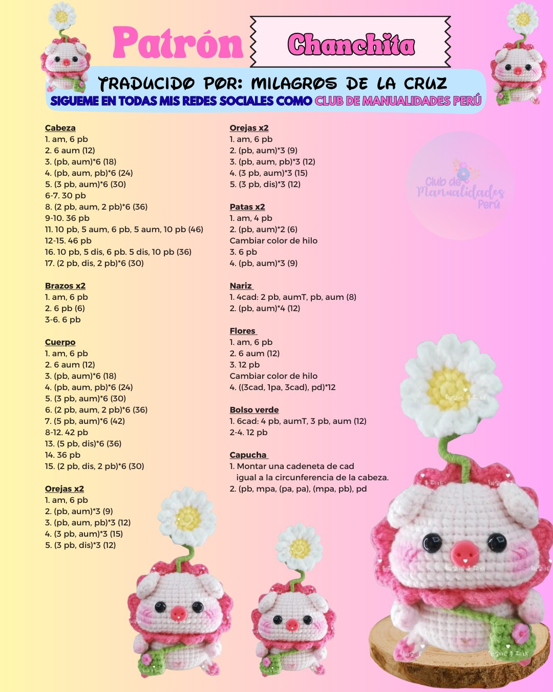 Patrón Chanchita Amigurumi: Instrucciones de tejido para cerdito con capucha y flor