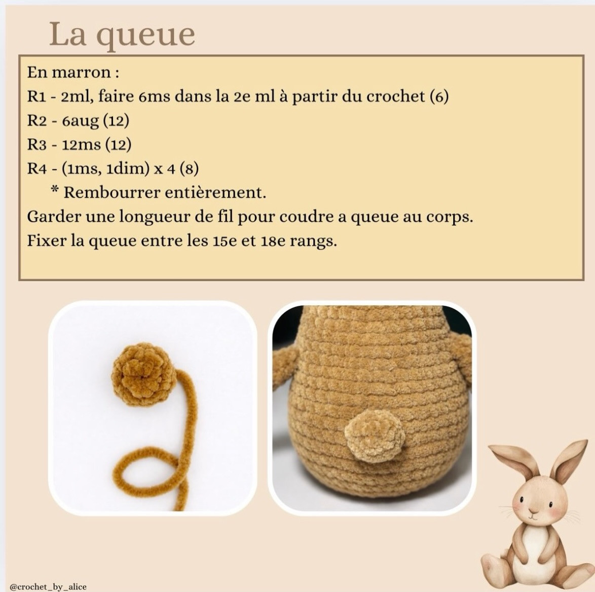 Petit lapin Free Pattern: Amigurumi Rabbit Crochet Tutorial with Carrots