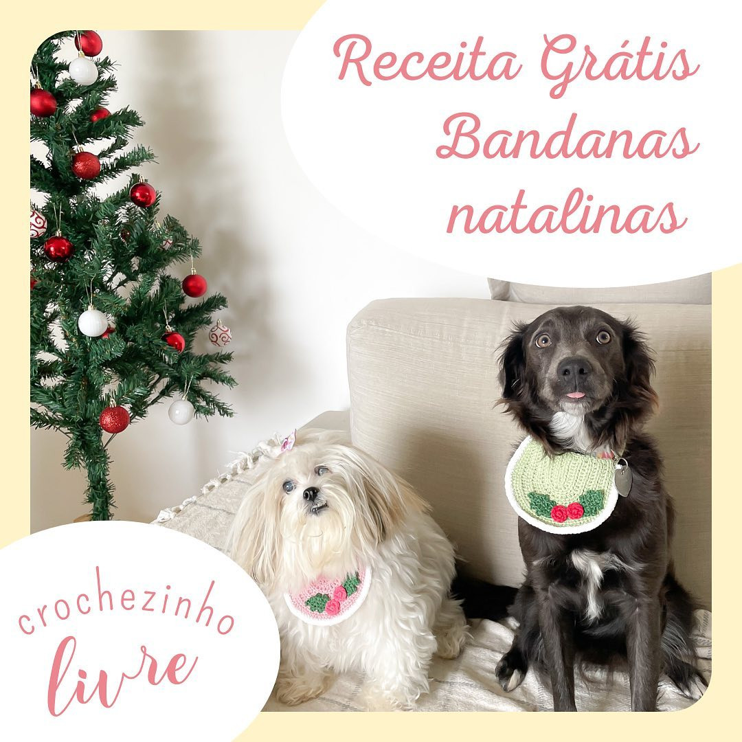 Receita Grátis Bandanas Natalinas para Cachorros - Móc Len Hoa Hồng và Lá Sồi