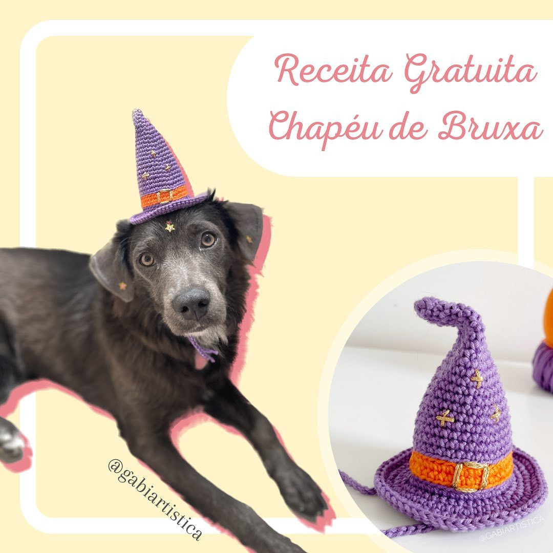 Receita Gratuita Chapéu de Bruxa Mágico Roxo e Laranja para Pets com Chart Completo