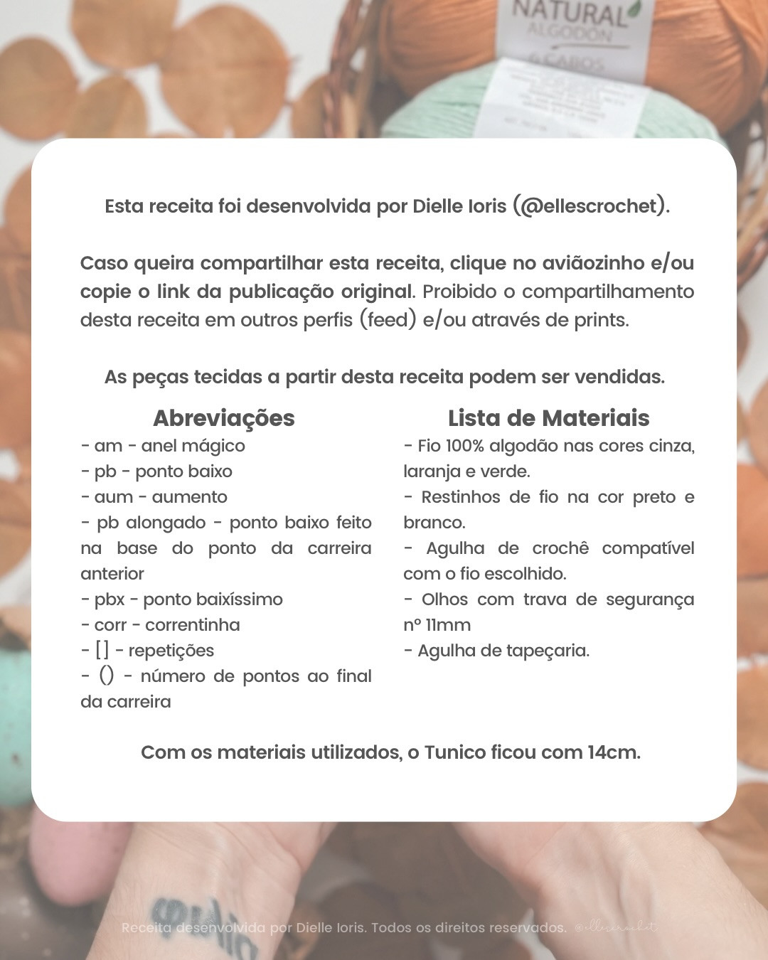 Receita Gratuita Coelhinho Tunico - Desafio de Fevereiro