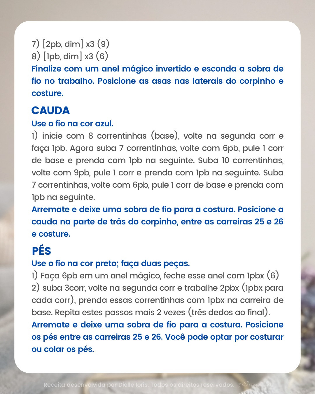 Receita Gratuita de Amigurumi: Araí, a Arara-Azul