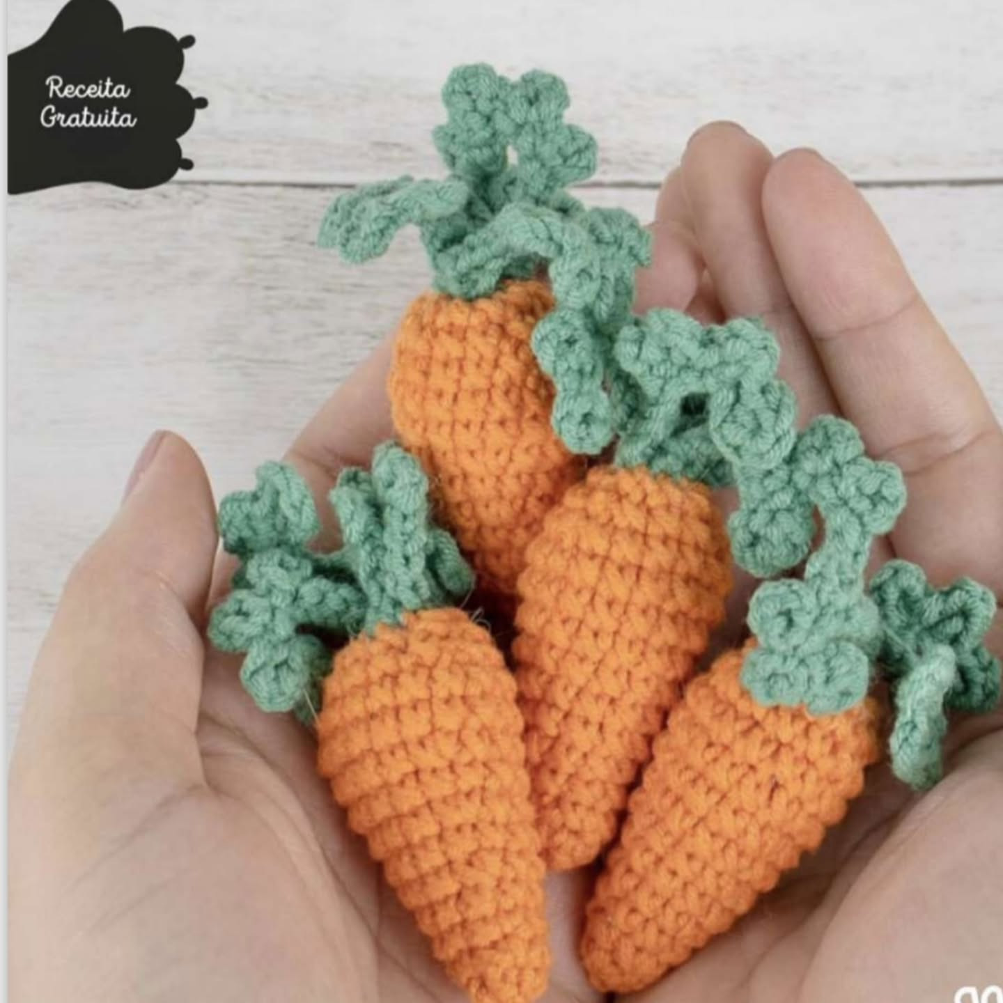 Receita Gratuita de Cenourinhas Móc Len (Amigurumi) - Passo a Passo com Fio Balloon Amigo