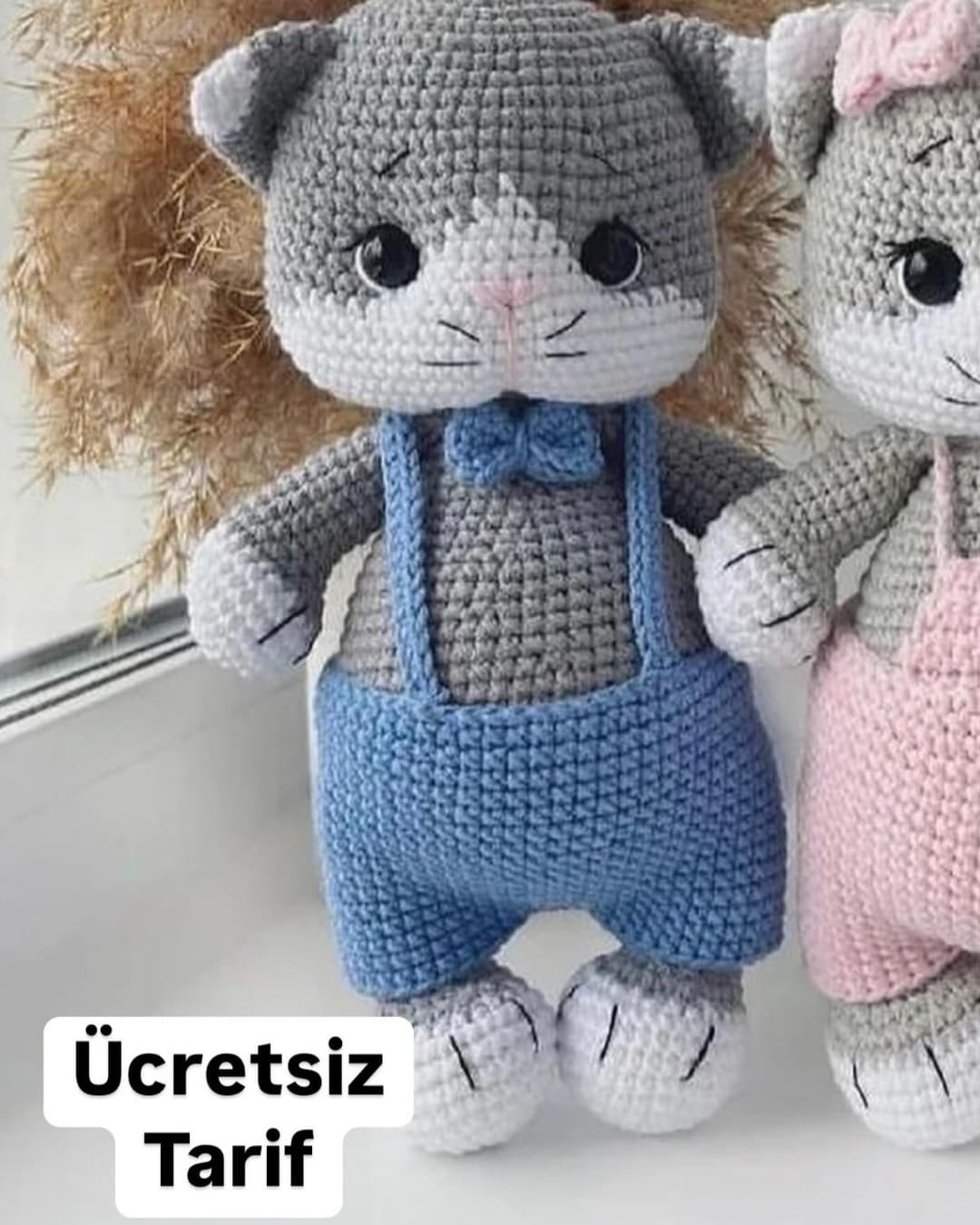 Ücretsiz Amigurumi Kedi Tarifi: Gri ve Beyaz Renkli, Mavi Şortlu Sevimli Oyuncak