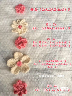 10 Cute Crochet Flower Patterns with Chinese Instructions
