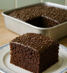 Bolo Nega Maluca Super Fofinho e Molhadinho com Cobertura de Chocolate