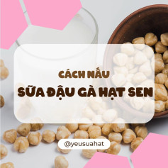 Cách nấu sữa đậu gà hạt sen thơm ngon, bổ dưỡng với lá dứa