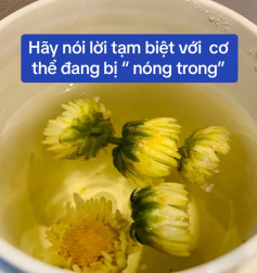 Cách pha trà hoa cúc thanh nhiệt giải độc, dưỡng gan và giảm căng thẳng