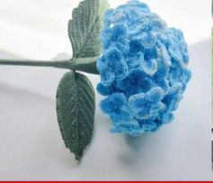 Chart hướng dẫn móc hoa Cẩm Tú cầu màu xanh và lá kèm