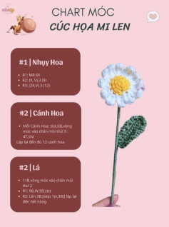 Chart móc len hướng dẫn làm cúc họa mi trắng vàng