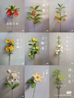Collection of Crochet Flower Patterns with Chinese Charts and Photos