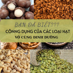 Công dụng và lợi ích sức khỏe của các loại hạt dinh dưỡng: Hạt điều, Óc chó, Macca, Hạnh nhân