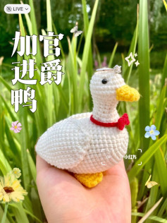 Crochet Amigurumi Mallard Duck Pattern with Red Bow Tie and Crown