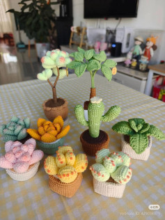 Crochet Cactus and Succulent Plants Pattern Chart