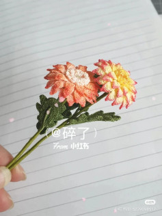 Crochet Dahlia Flower Pattern with Handwritten Chart