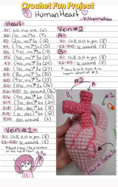 Crochet Fun Project: Human Heart Pattern