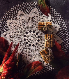 Crochet Lace Doily Chart by Fujiko Takagi - White Round Pattern Diagram