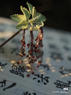 Crochet pattern for realistic maple leaves and seeds