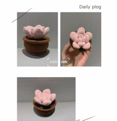 Crochet Pink Succulent Plant Pattern Chart