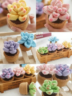 Crochet Succulent Plant Tutorial: Detailed Free Chart for Leaves, Pot and Soil in Multiple Colors
