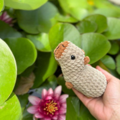 Cute Amigurumi Capybara Crochet Pattern with List of Materials and Instructions