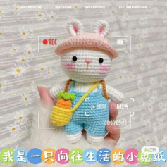 Cute Bunny Rabbit Amigurumi Crochet Pattern with Outfit and Chart