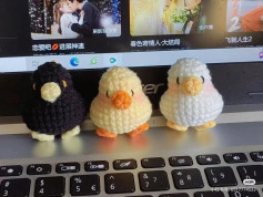 Cute Cherry Pig and Bear Amigurumi Crochet Pattern