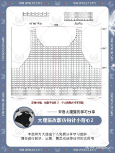 Dali Cat Modified Crochet Small Vest Pattern Chart