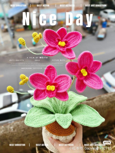 Detailed Crochet Pattern for Pink Butterfly Orchid Plant with Green Leaves and Pot