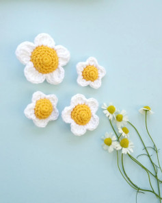 Flores de Margarita Móc Len: Blancas con Centro Amarillo