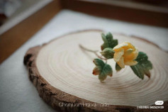 Gooseberry Flower Crochet Chart