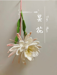 Handmade Crochet Epiphyllum Flower with Green Leaves