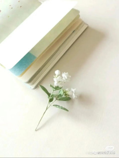 Handwritten Crochet Pattern for Jasmine Flower, Bud, and Leaves in Notebook