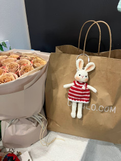 Hướng dẫn móc len búp bê thỏ mặc váy đỏ trắng