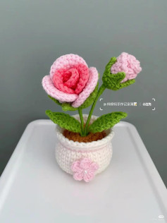 Hướng dẫn móc len chậu hoa hồng màu hồng và xanh