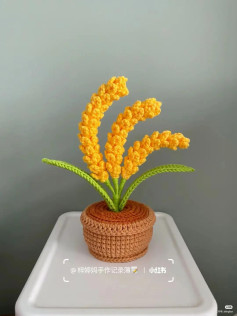 Hướng dẫn móc len chậu hoa lúa vàng