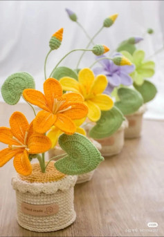 Hướng dẫn móc len chậu hoa tùng du với chart chi tiết từng hàng, bao gồm phần chậu, đất, cánh hoa, lá và nụ