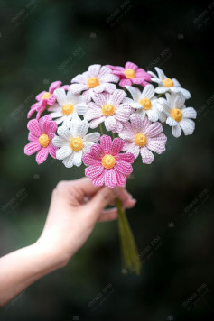 Hướng dẫn móc len hoa Cosmos và hoa sao nhái nhiều màu sắc