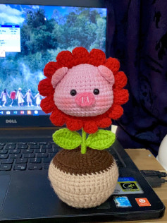 Hướng dẫn móc len hoa hướng dương đầu heo dễ thương, bảng chart chi tiết từng phần