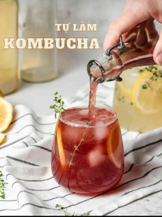 Hướng dẫn tự làm Kombucha tại nhà: Nấu trà đường, ủ men SCOBY và thêm trái cây