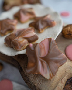 Marbled Chocolate Star Cookies with Walnut and Lemon Zest Recipe